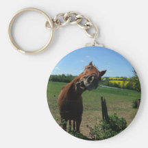 Smile of a horse front of a rape field keychains