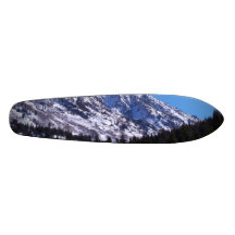 SnowDust Plateau De Skate