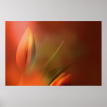 SoftlyTulips Affiches
