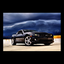 Solides solubles noirs Camaro posters