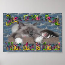 Sommeil, caresse, ronronnement ! affiche
