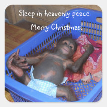 Sommeil dans Noël merveilleux d'animal de paix Autocollants