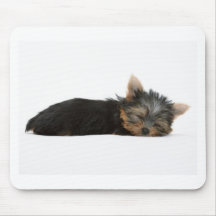 Sommeil de chiot de Yorkie Tapis De Souris