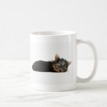 Sommeil de chiot de Yorkie Tasse