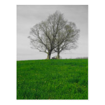 sommet carte postale