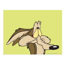 Sort malheureux d'E. Coyote Impending de Wile Cartes Postales