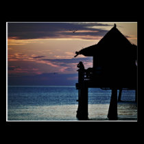 Souhait de la Floride vous où ici cartes postales