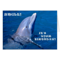 Sourire d'anniversaire de dauphin cartes