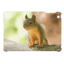 Sourire mignon d'écureuil coques mini ipad