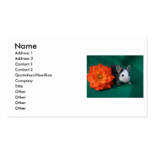 Souris blanche noire et rose de thé orange carte de visite