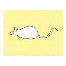 Souris de blanc d'animal familier. Fond jaune de p Cartes Postales