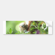 Souris en fleurs adhésifs pour voiture