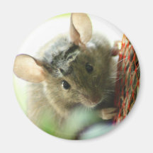 Souris en fleurs aimants