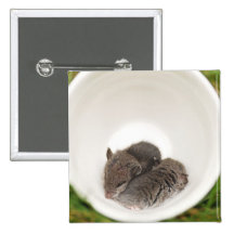 Souris mignonnes de bébé de Sleepytime Badge