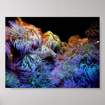 Sous des paysages marins de l'eau affiches