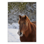 Sous le gui, carte de Noël de cheval