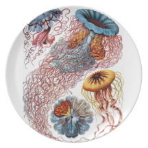 Sous le plat Haeckel d'espèce marine de mer Assiettes Pour Soirée