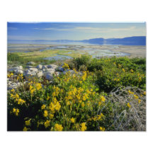 SOUTENEZ LE LAC, l'UT, les USA, la singe-fleur et  Tirage Photo