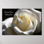Souvenir rose de mariage de coupe de blanc poster