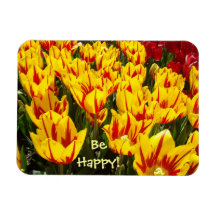 Soyez heureux ! la tulipe jaune de magnet fleurit 