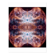 Space Moth I Postcard