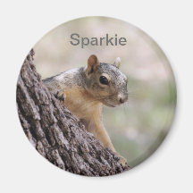 SPARKIE l'écureuil Aimants Pour Réfrigérateur