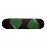 Spatule de plante skateboards personnalisables