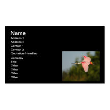 Spatule rose en vol modèle de carte de visite