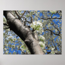 Springtime Print