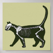 squelette de chat posters