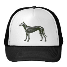Squelette de great dane casquettes de camionneur