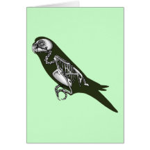squelette de perruche carte de vœux