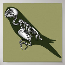 squelette de perruche posters