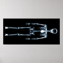 Squelette simple bleu de vision de rayon X Posters