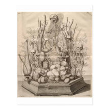 Squelettes déplaisants vintages, crânes et arbres cartes postales