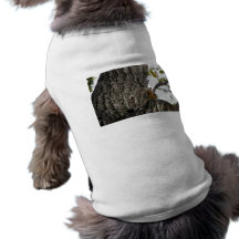 squirel sur l'habillement d'animal familier d'arbr tee-shirt pour chien