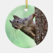 Squirrel On a Tree ornements