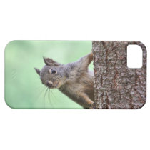 Squirrel On a Tree coques case-mate