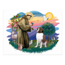St Bernard Carte Postale