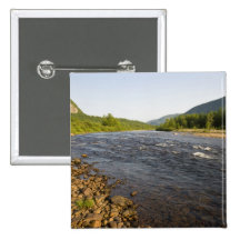 St Rivière de marguerite des prés dans Parc du Sag Badge Avec Épingle