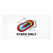 Staphylocoque seulement (humour de médecine de san cartes de vœux avec photo