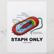 Staphylocoque seulement (humour de médecine de san tract