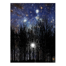 Starscape et arbres - carte postale