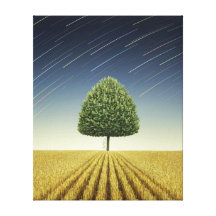 Startrail and Tree Canvas Prints
