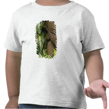 Statue dans des informations sur l'emplacement de  t-shirt