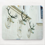 Statues des cerfs communs dans le château Hluboka Tapis De Souris