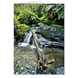 Streambed, parc national de Fiordland, île du sud Carte