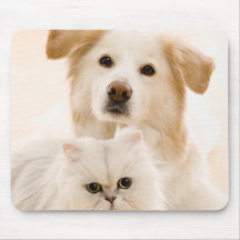 Studio tiré du chat et du chien tapis de souris