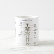 StudyThem désosse… Tasse À Café