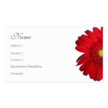 Style floral - marguerite de Gerbera Cartes De Visite Personnelles
